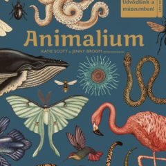 Animalium – Üdvözlünk a múzeumban!