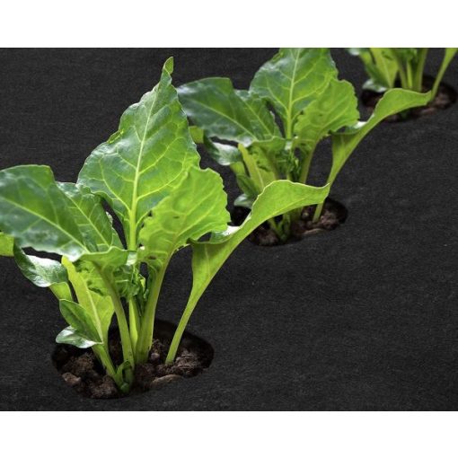 Geotextil-fekete-2x10 méter-250 gr – kerti magaságyás korlát