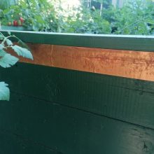 Csigák elleni öntapadós rézszalag – kerti magaságyás korlát