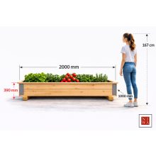 Teraszágyás-nagy-lapraszerelve-100 cm x 200 cm x 39 cm